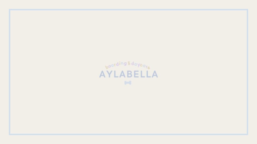 aylabella-dog-boarding-and-daycare