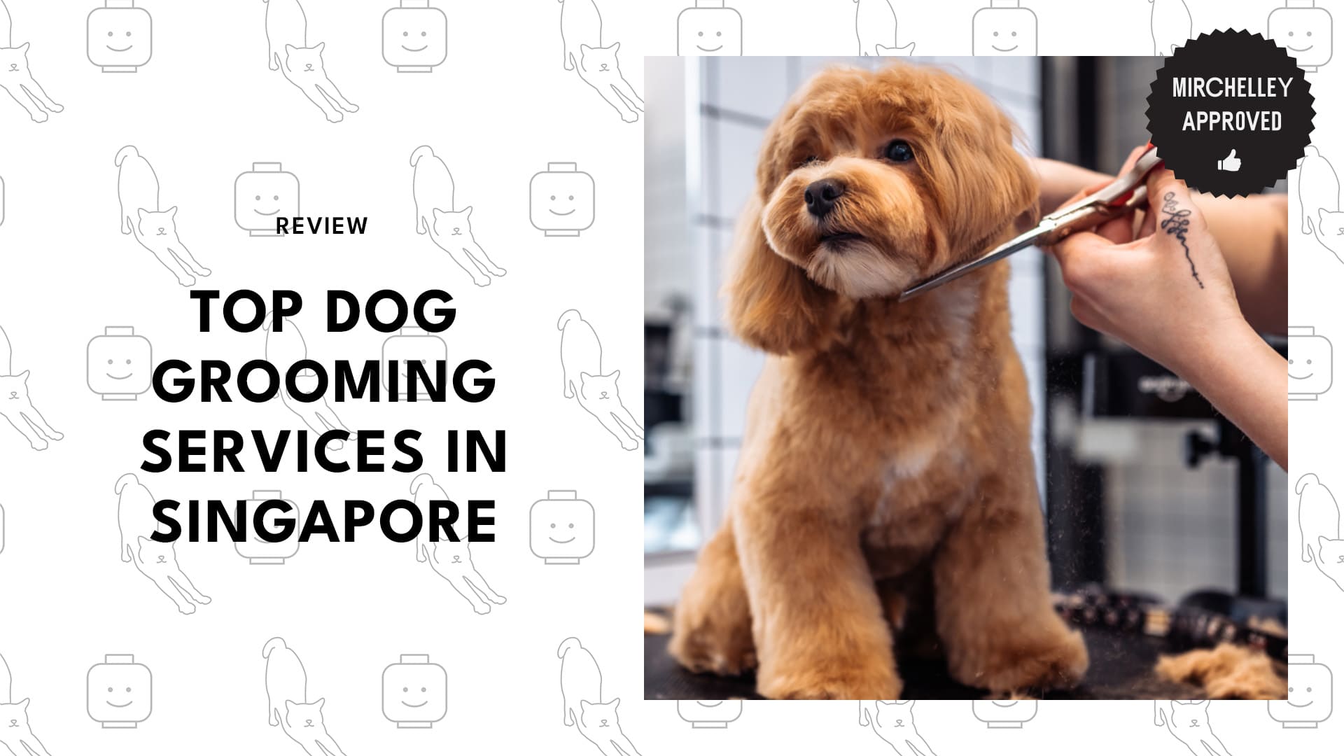 dog-grooming-singapore