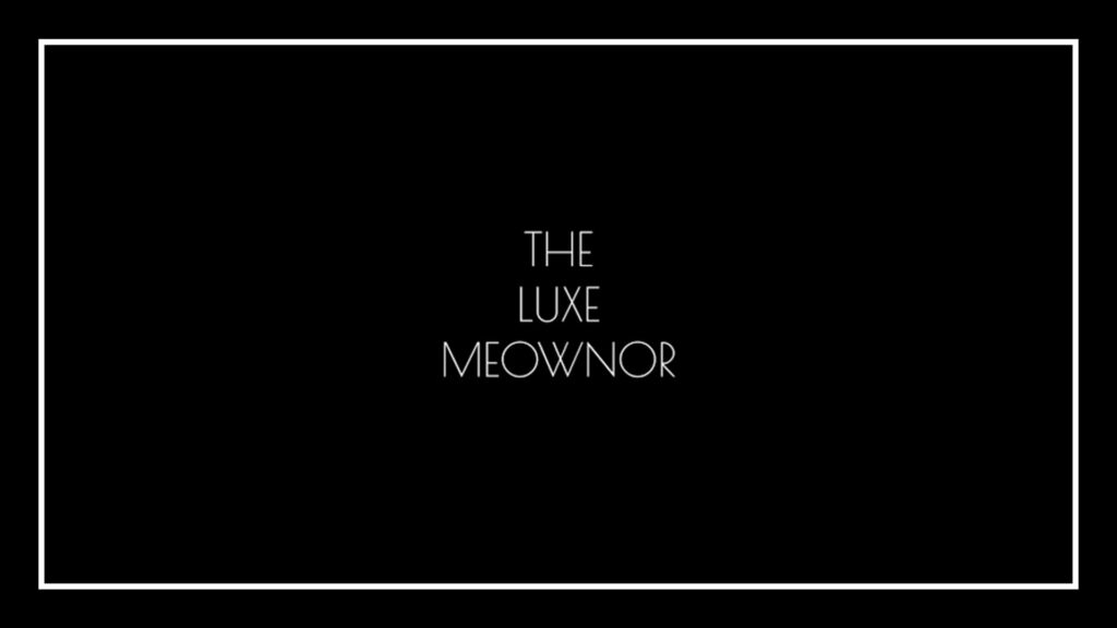 the-luxe-meownor